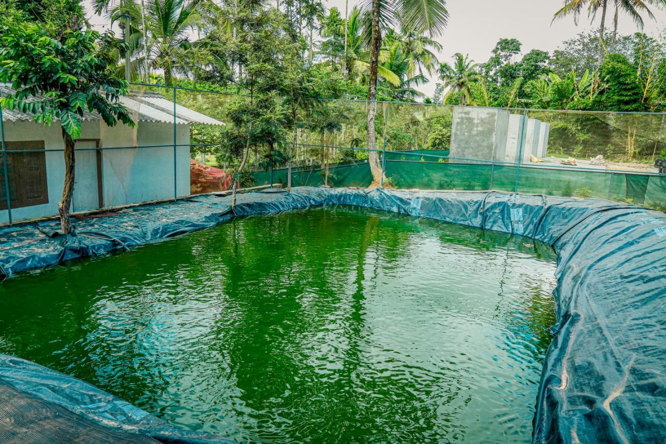 Green Auro By Bob Hotels วายานาด ภายนอก รูปภาพ